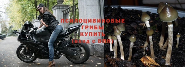 скорость Алексеевка