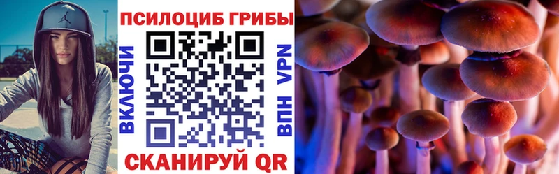 kraken   Люберцы  Псилоцибиновые грибы Psilocybe 